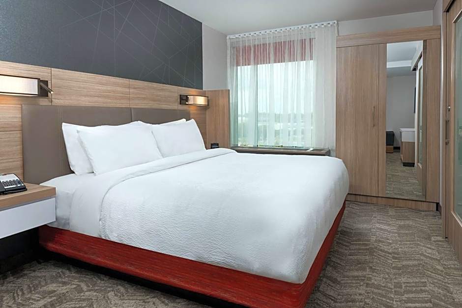 SpringHill Suites by Marriott Lakeland