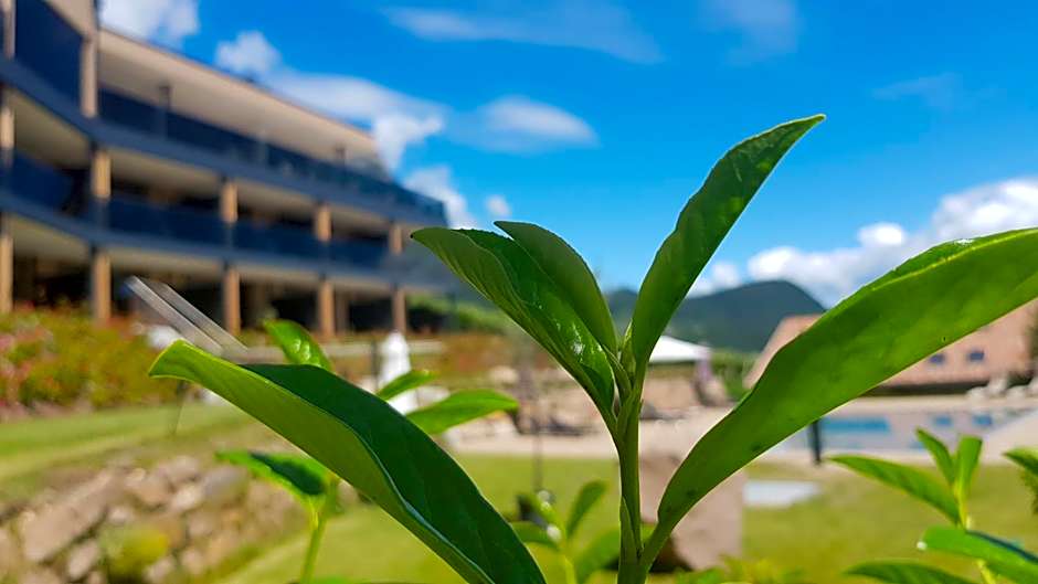 Aparthotel Malga