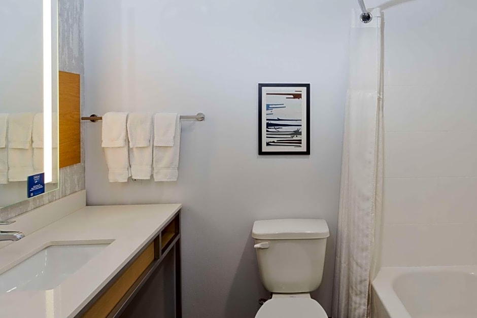 Hilton Garden Inn Birmingham SE/Liberty Park
