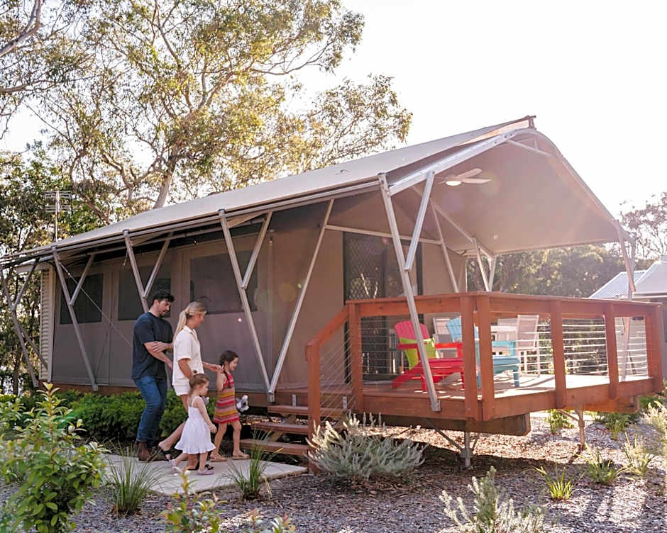 Port Stephens Koala Sanctuary