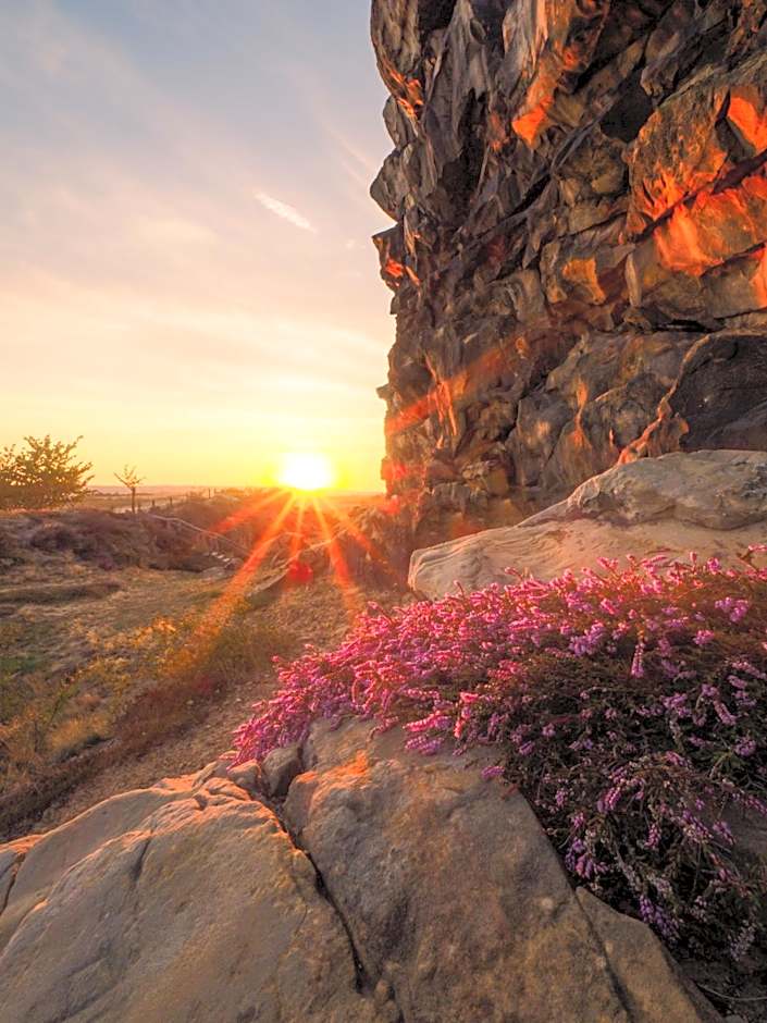 Harz Hotel Vogelberg