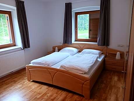 Double Room with Mountain View