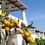 Hotel Residence Mendolita