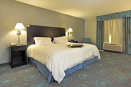 1 King Bed Room With Sofabed Nonsmoking