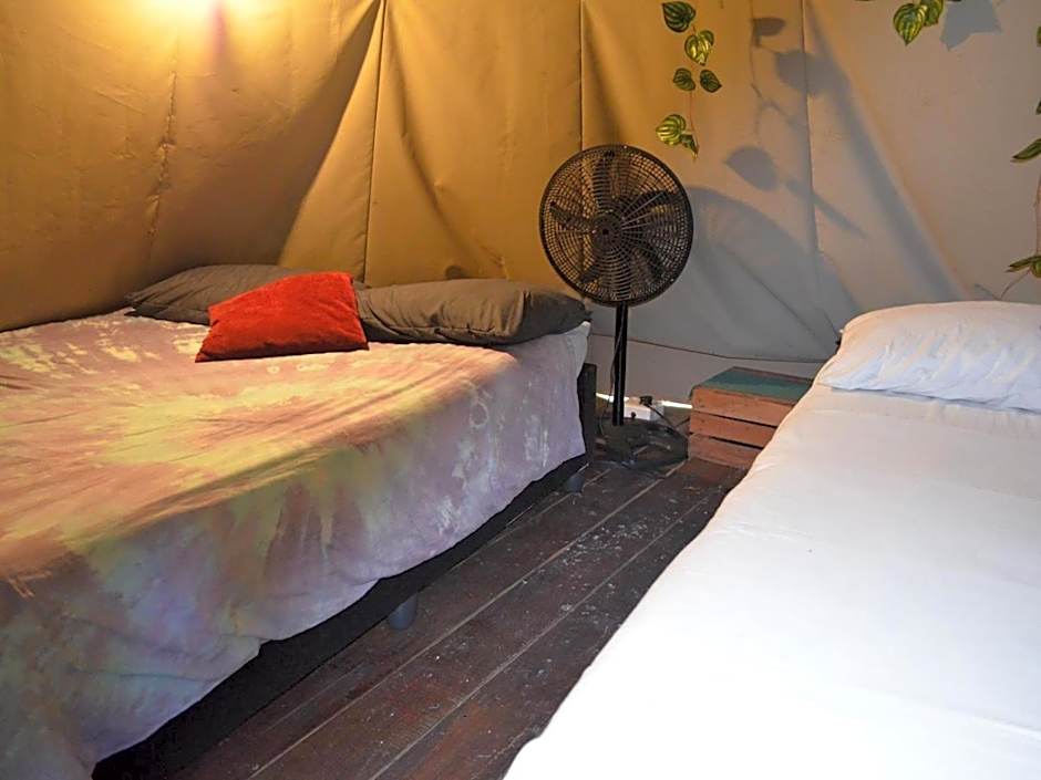 Photo 1 of 6 of Family Tent