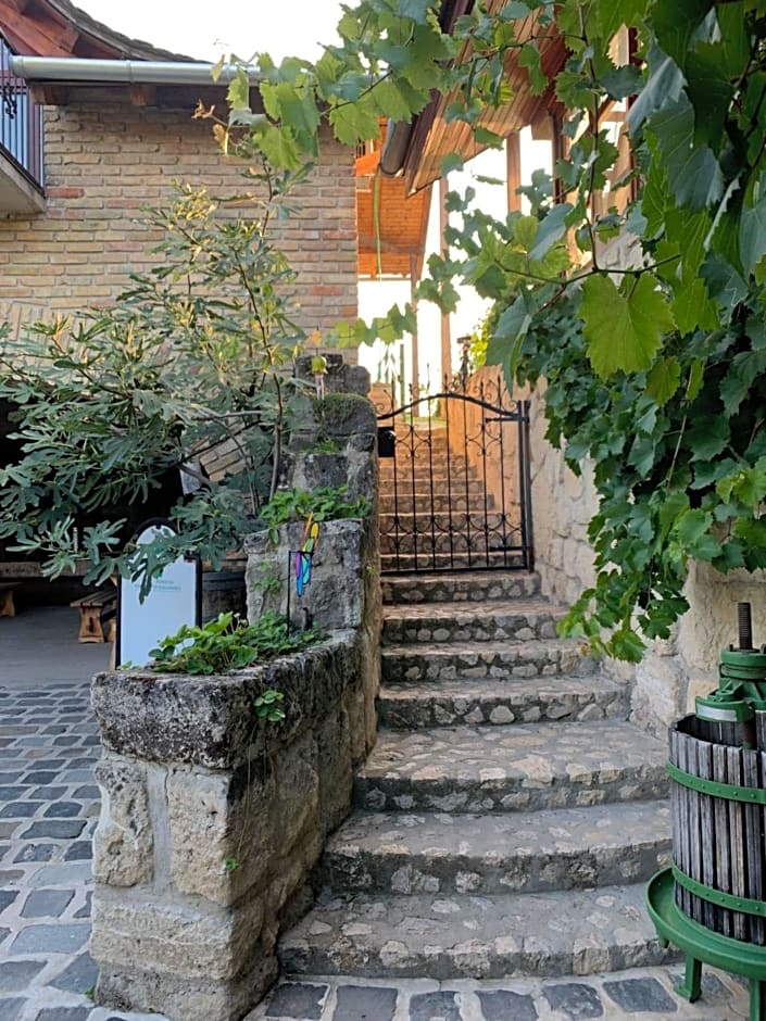 Buzál-Mórocza Pincészet és Szálláshely