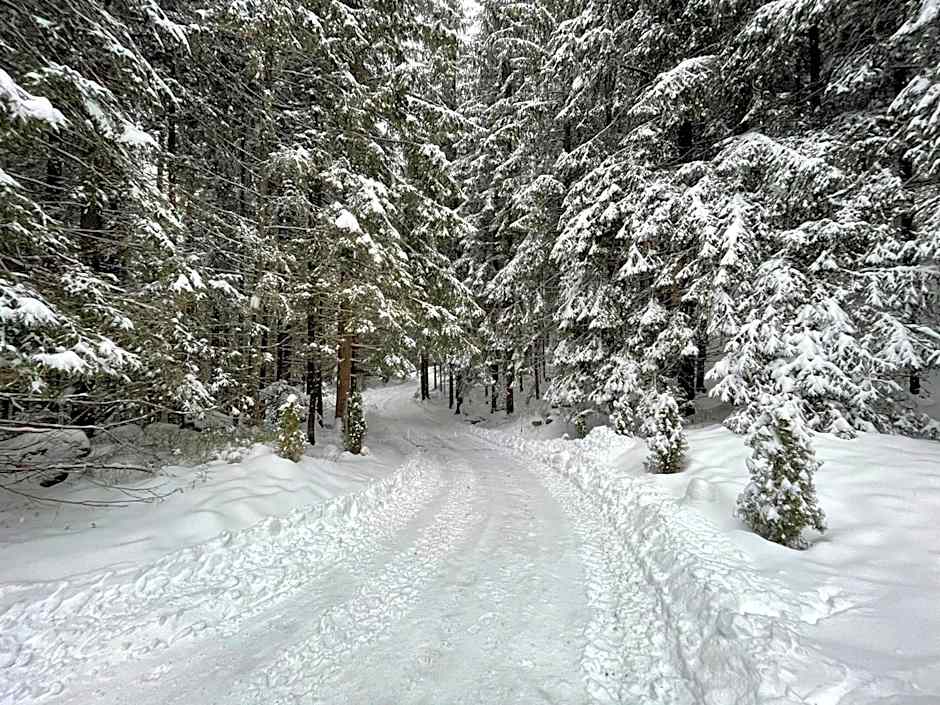 Apartmány Foresta Jasná