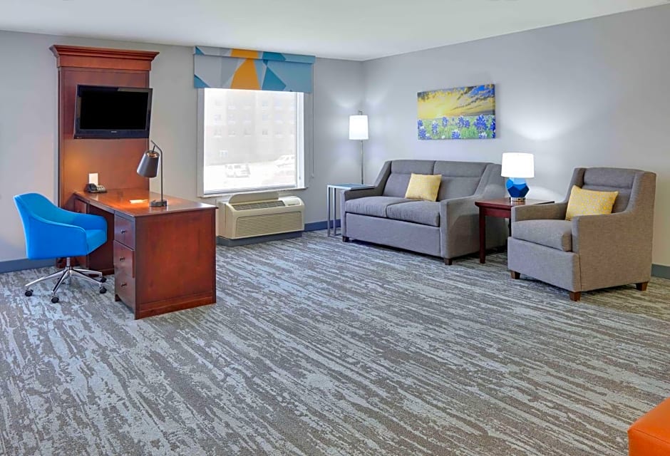 Hampton Inn By Hilton & Suites Dallas-Arlington-South