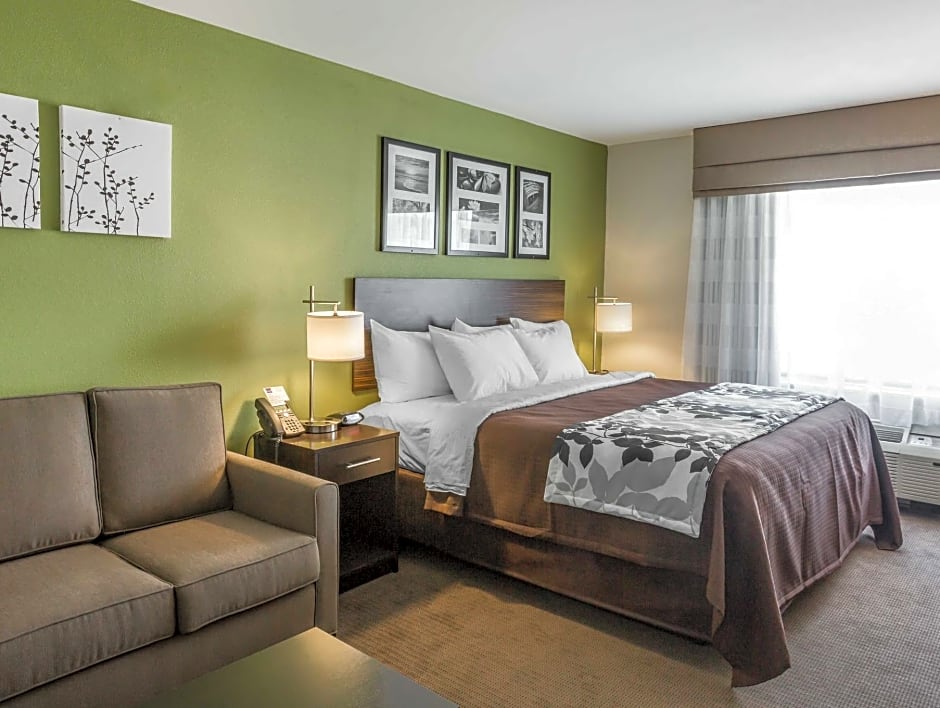 Photo 1 of 8 of 1 King Bed Suite