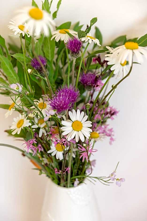 The Common Knowledge Centre