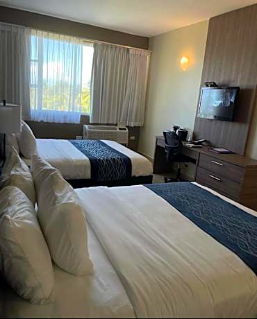2 Queen Beds, Nonsmoking, Upgrade, Upper Floor