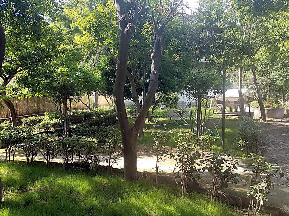 Il Giardino Di Vico Neve