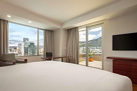 Terrace Room, Executive, guest room, 1 king