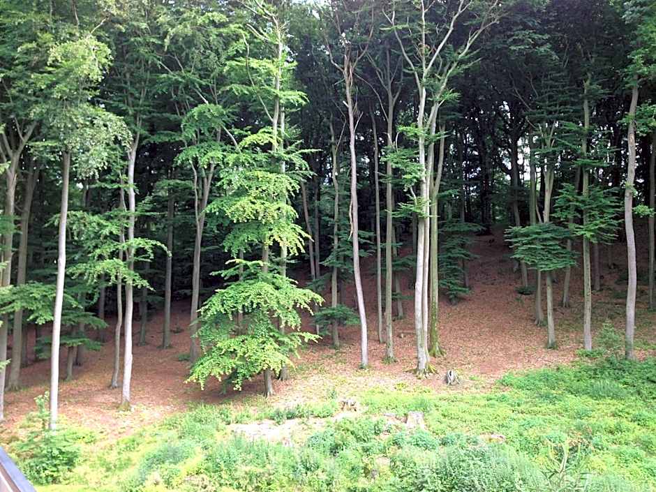 Waldhotel Porta Westfalica