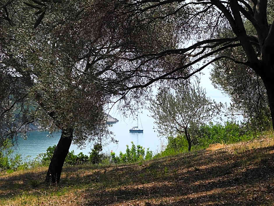 Casa Mila apartments & bungalows