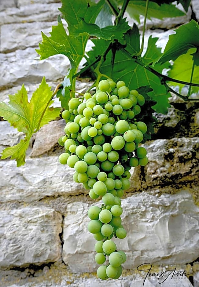 Le vieux presbytère