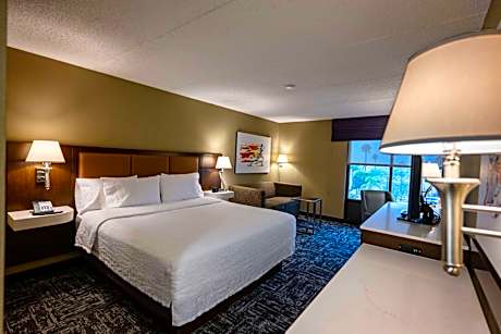 King Room with King Bed - Non-Smoking