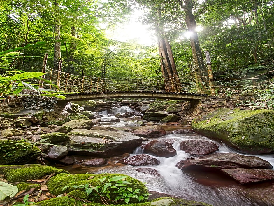 OYO 91089 Desa Wisata Air Terjun Way Kalam Syariah