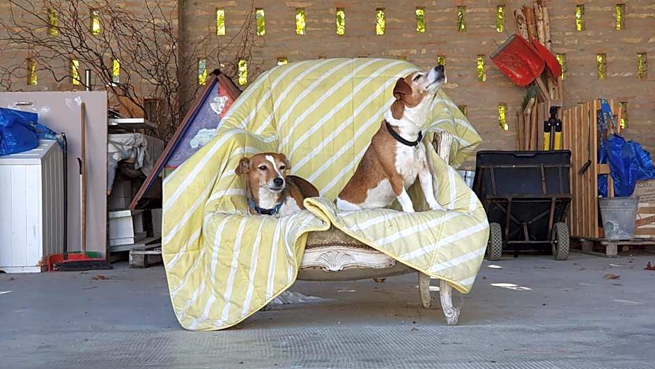 Affittacamere Villa Molinello