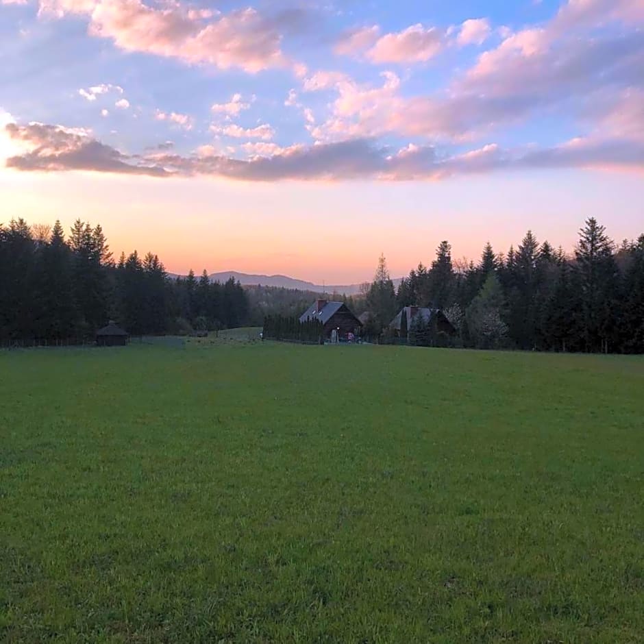 Klimkowskie Zacisze - domek całoroczny