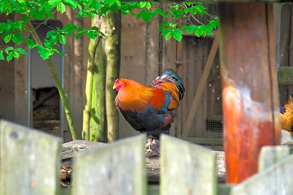 Berggasthof Butterberg
