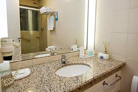 Premium Double Room (1 Queen Bed)