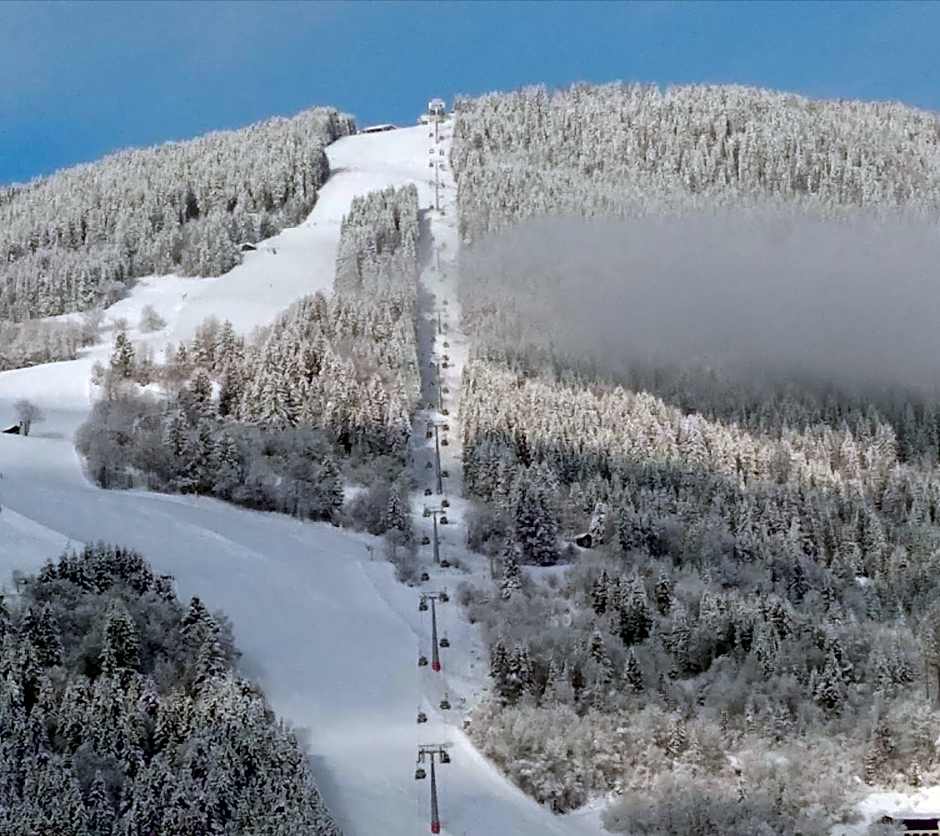 Hotel Garni Landhaus Gitti