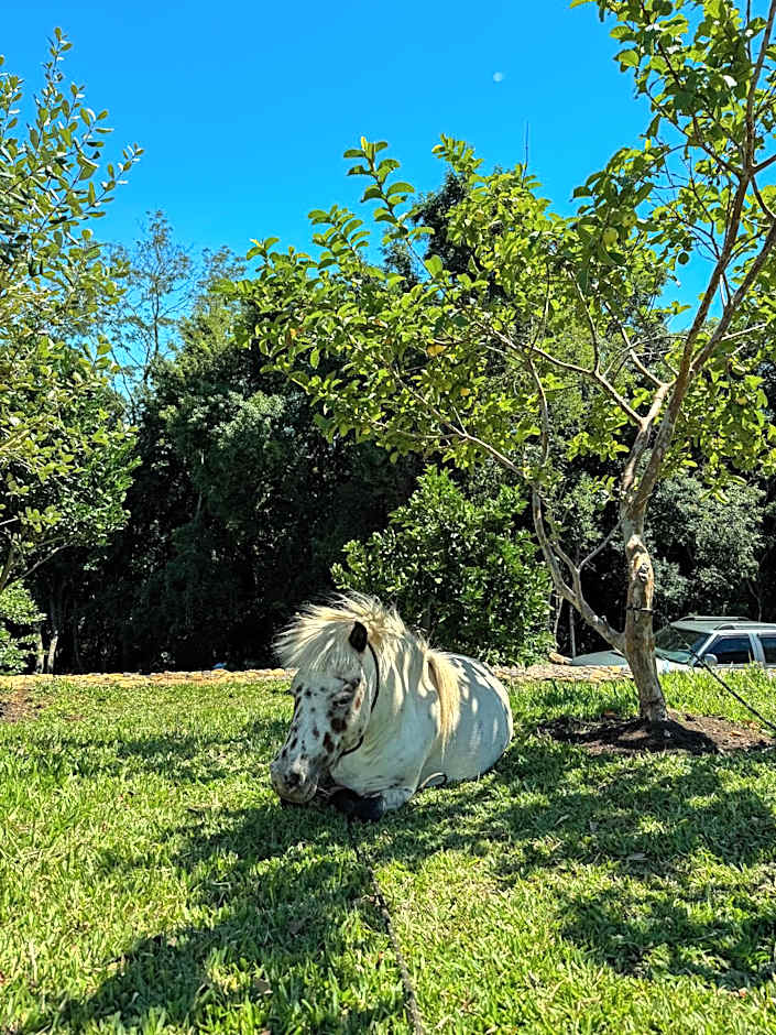 Vovô Emílio Chalés