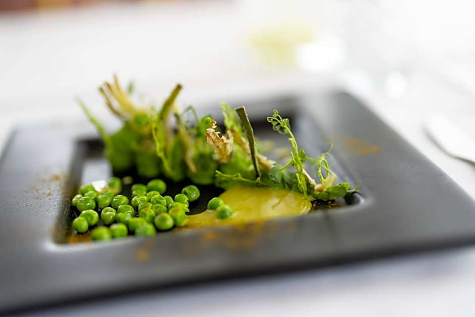 Vegan Health Hotel Sonnenberg