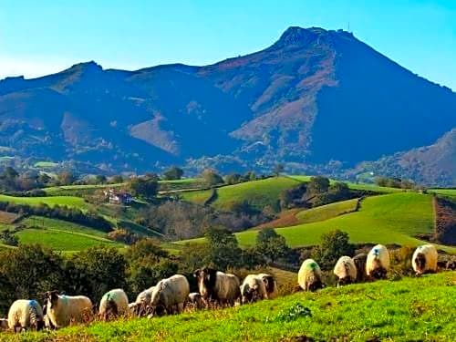 Maison " Elixondoa "