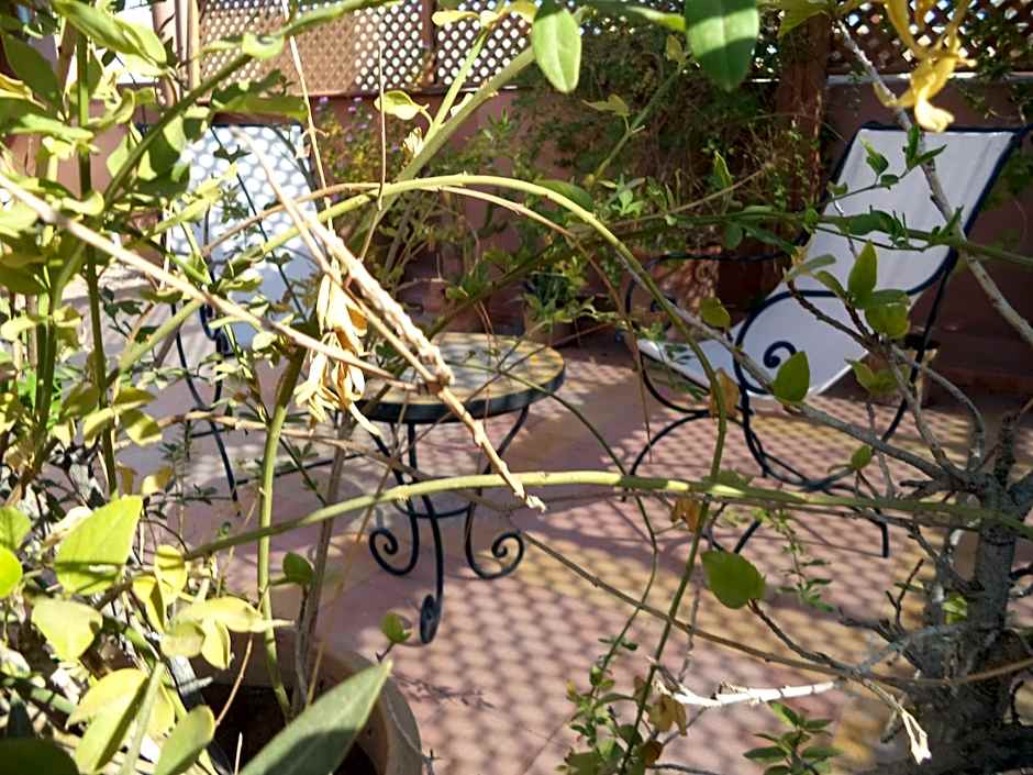 Riad Dar Moulay Ali