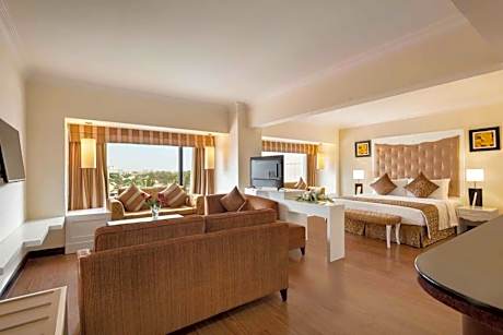 Business Suite Room - Smoking