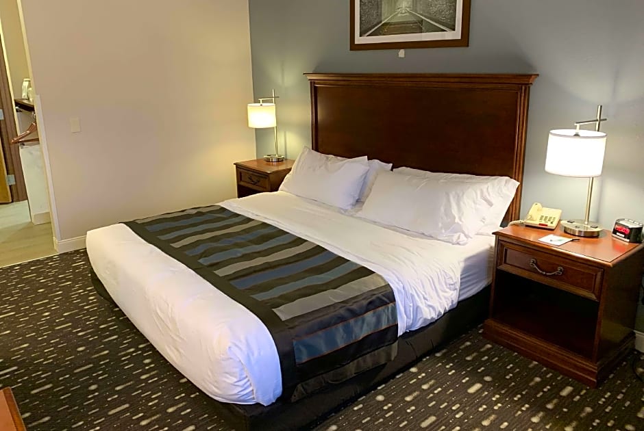 Photo 1 of 1 of Presidential 1 Bedroom 1 King Bed Suite
