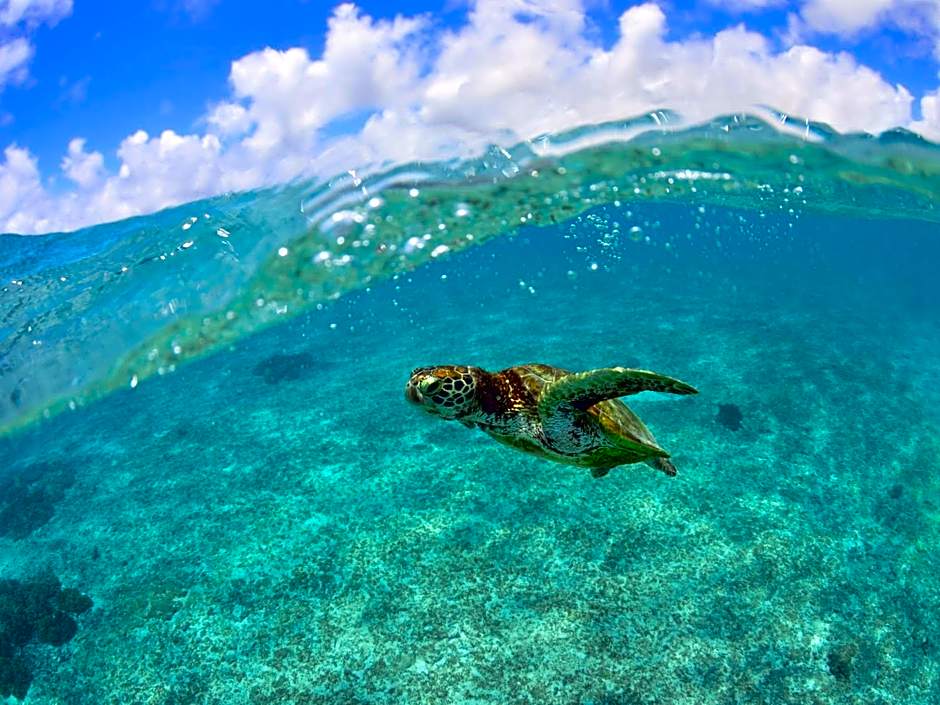 Hotel Breezebay Marina