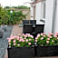 Amalie Bed and Breakfast & Apartments