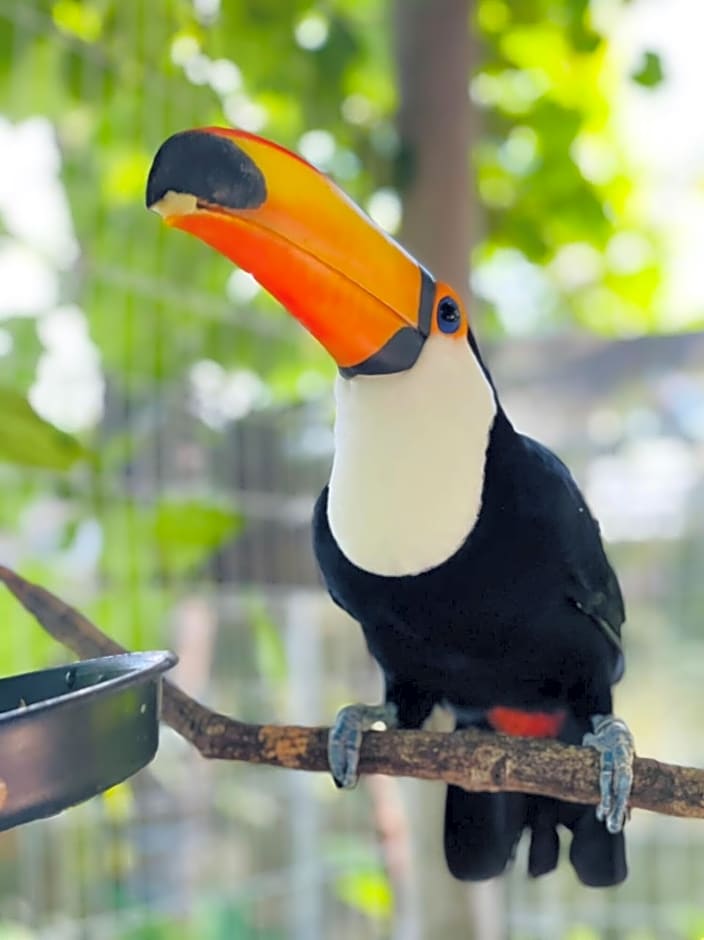 Hotel Solar do Imperador