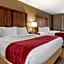Comfort Inn & Suites Russellville I-40