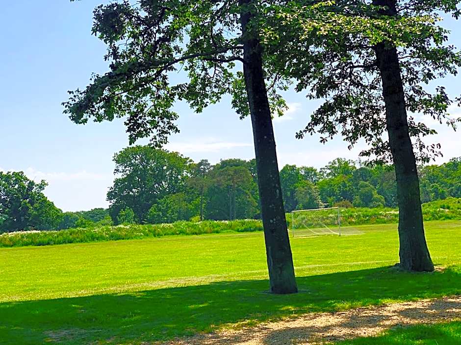 forest beach bashley park