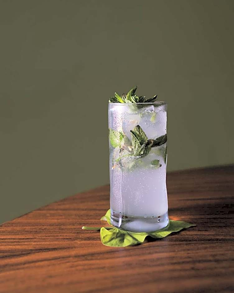 The Xperience by g - Adults only