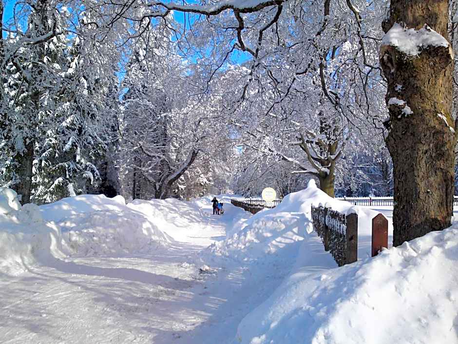 Hotel und Berggasthof Tanzbuche