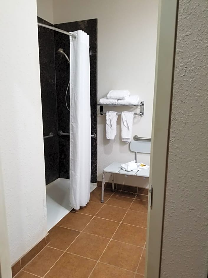 Best Western Plus Greenville South
