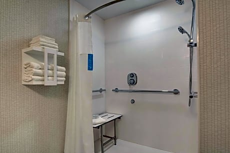 1 King Accessible Roll In Shower Non-Smoking