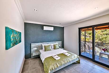Double Room with Balcony and Land View