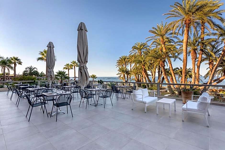 Zeus Hotels Palm Beach