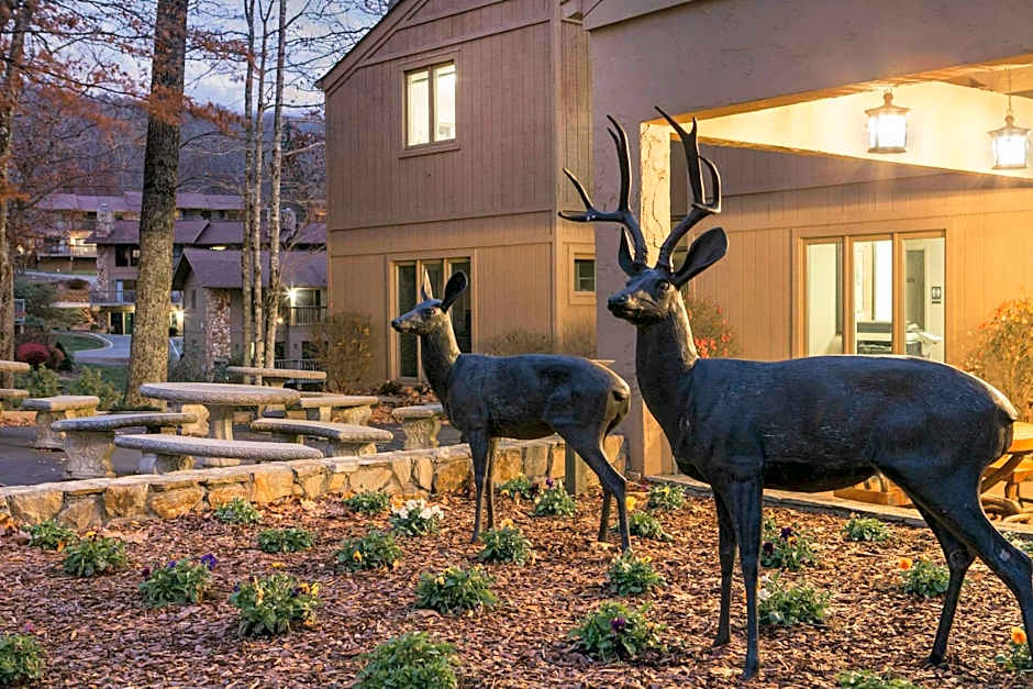 Bluegreen Vacations Blue Ridge Village, an Ascend Resort