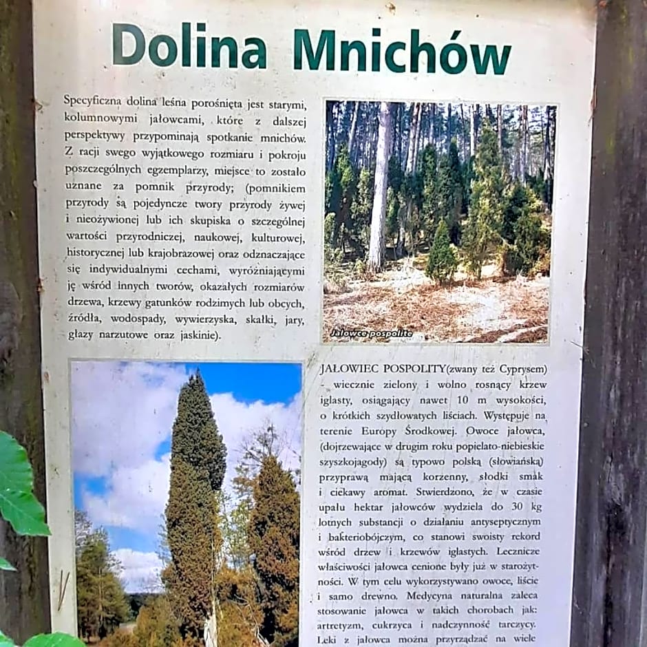 Hubertówka Czapiewice