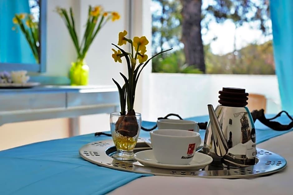 Pine Trees Art Hotel