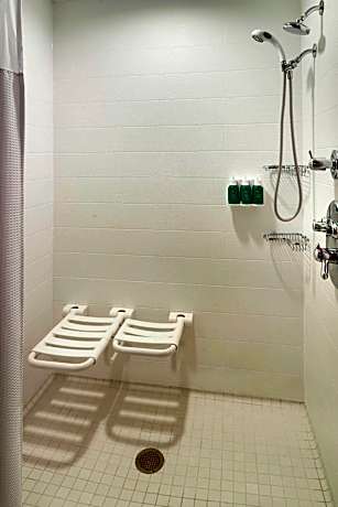 Suite, 1 King Bed with Sofa bed (Mobility/Hearing Access, Roll-In Shwr)