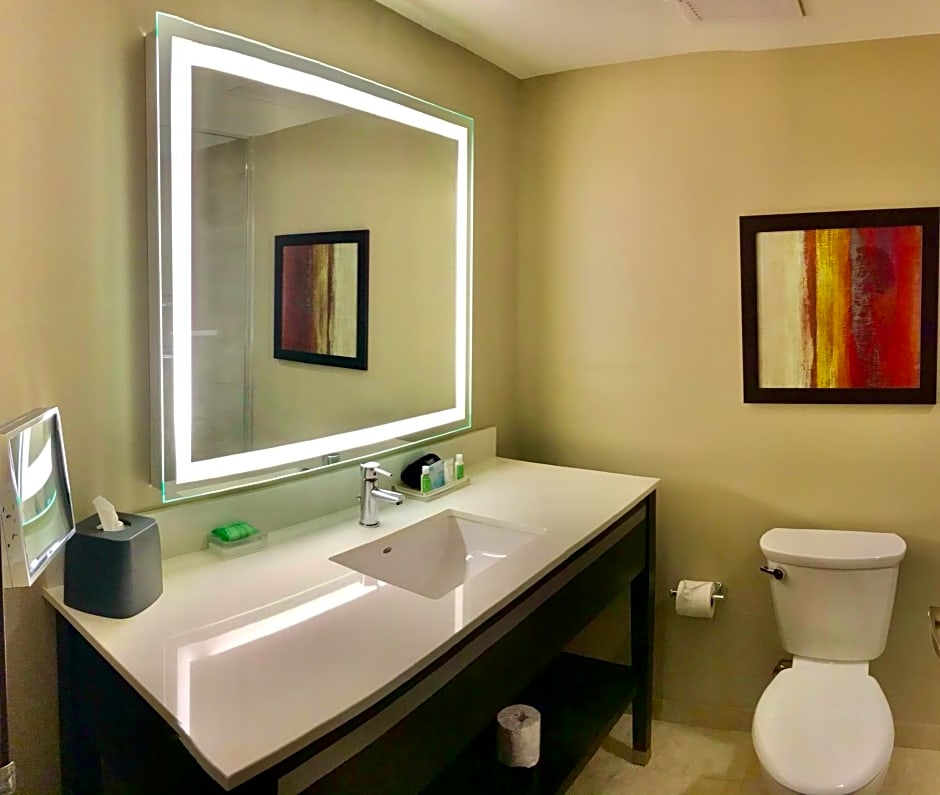 Holiday Inn Chicago - Schaumburg By IHG