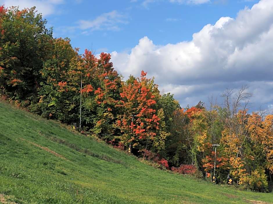 Gateside Chalets Modern Rustic 6-Bedroom with Hot Tub, Near the Village